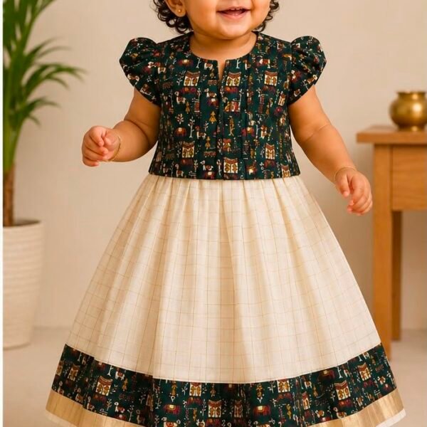 Traditional Ikkat skirt and top