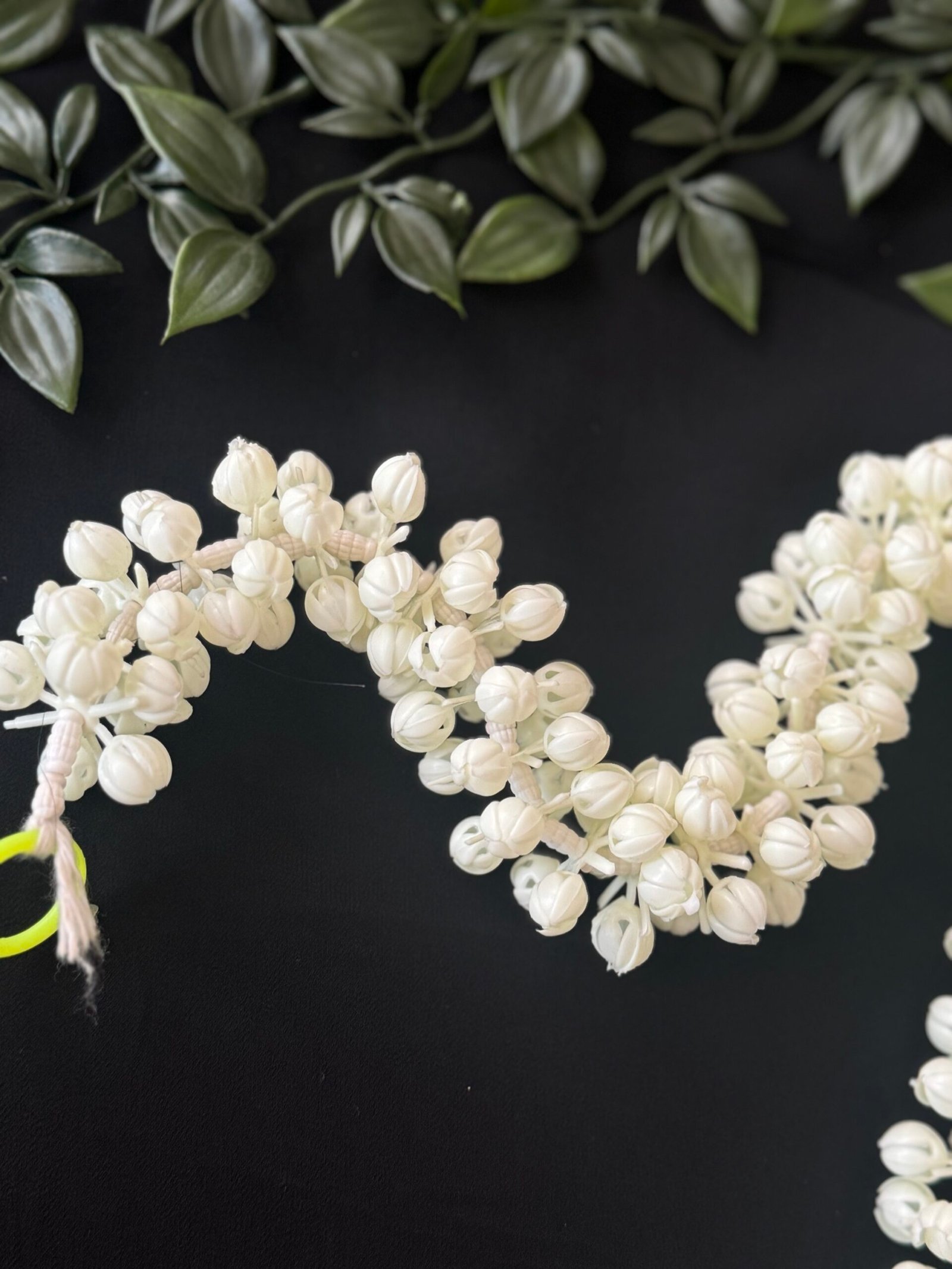 Jasmine Garland